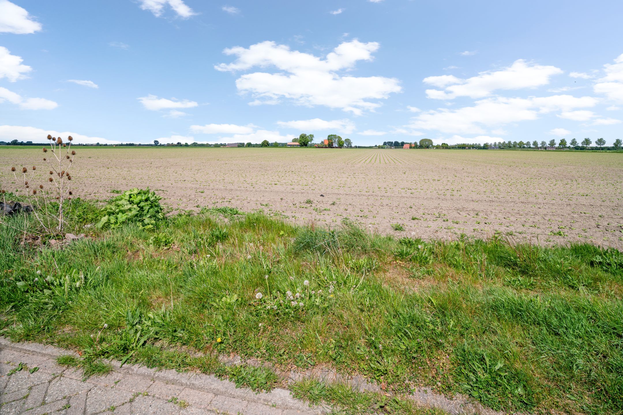 Foto 57 van Vosberg 8