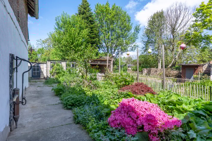 Foto 25 van Bosscherweg 4