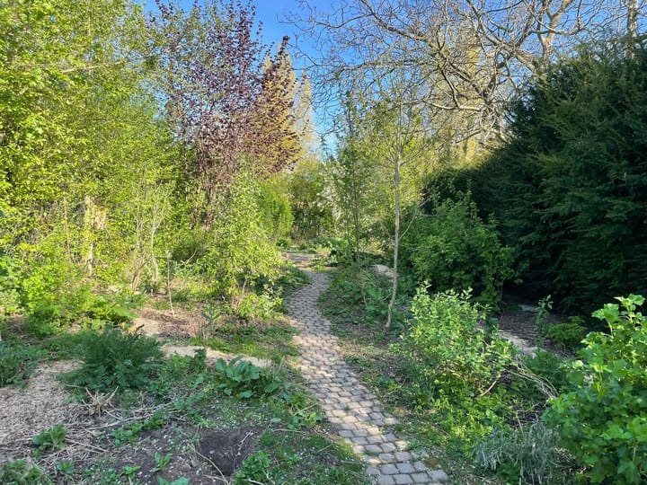 Foto 26 van Bosscherweg 4