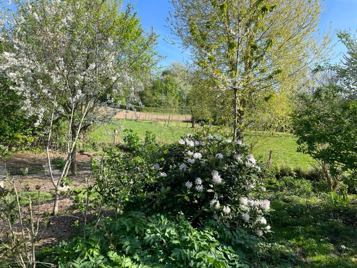 Foto 30 van Bosscherweg 4