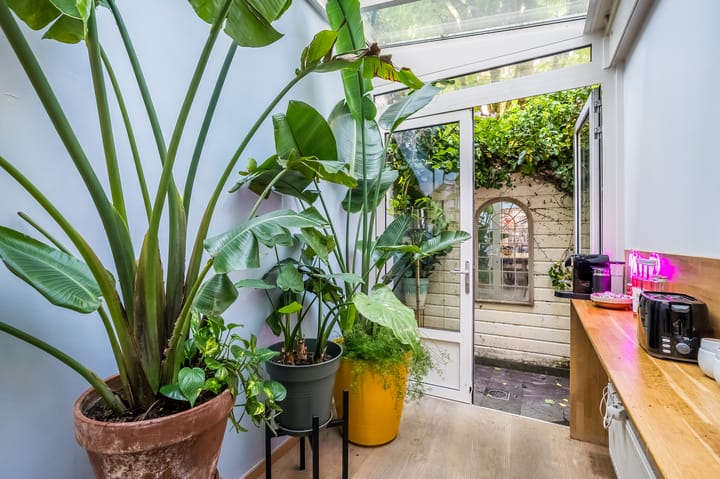 Photo 12 of Egelantiersgracht 58