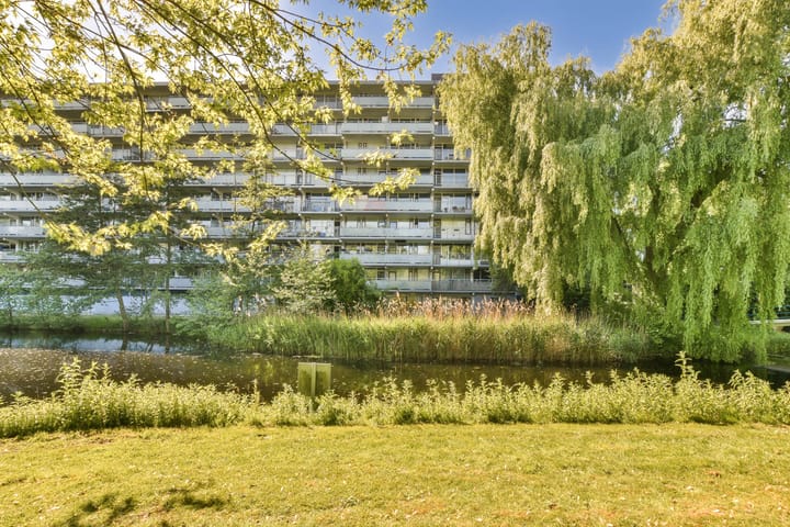 Foto 1 van Condorhorst 38