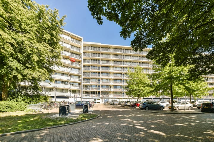 Foto 2 van Condorhorst 38