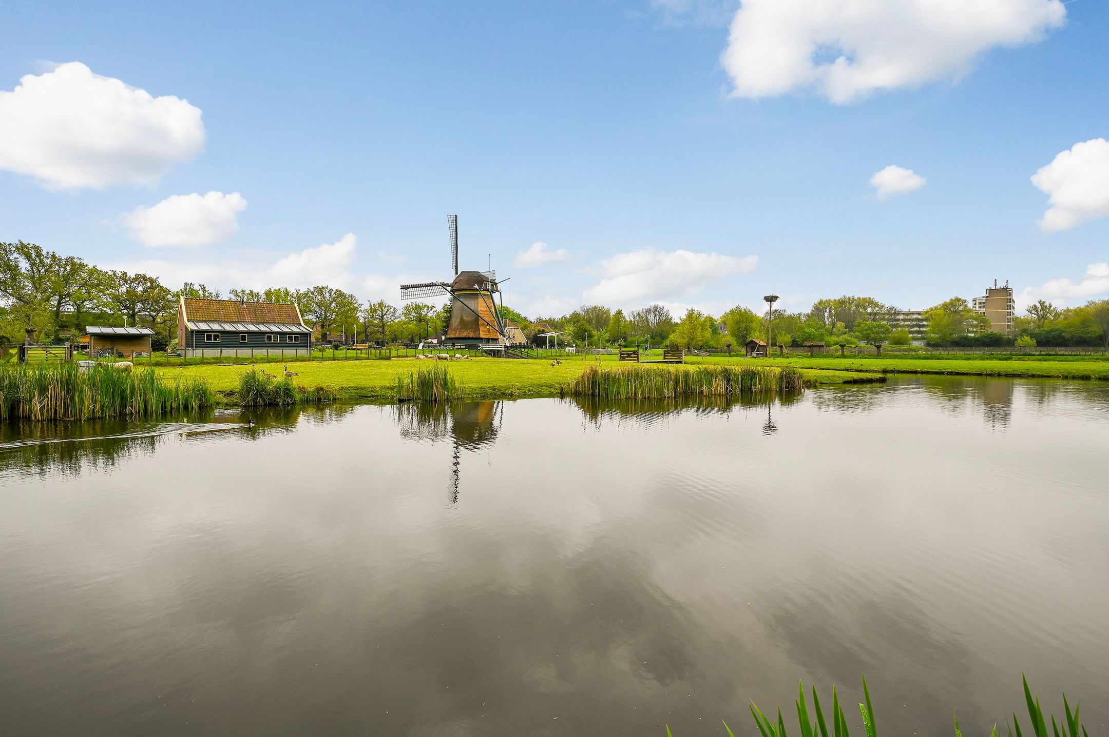 Photo 15 of Rodelaan 107