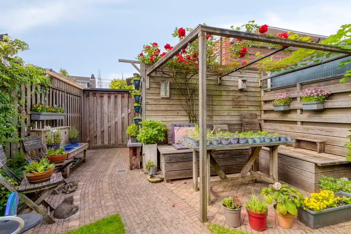 Foto 19 van Narcisplantsoen 17