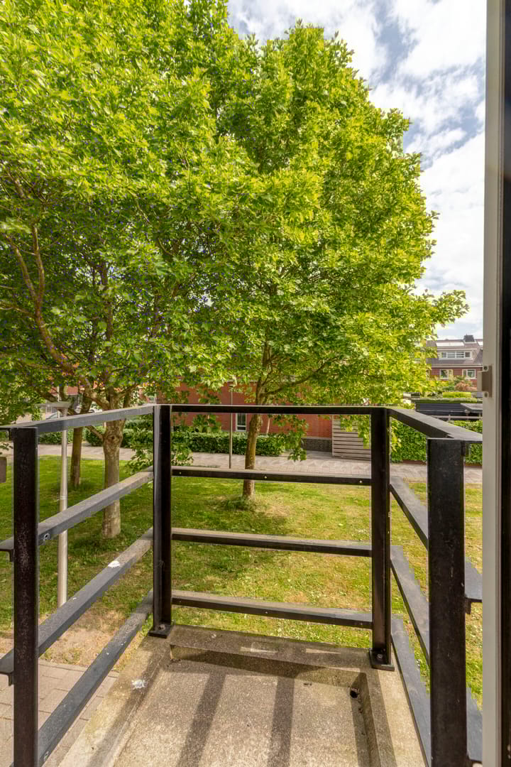 Foto 22 van Narcisplantsoen 17