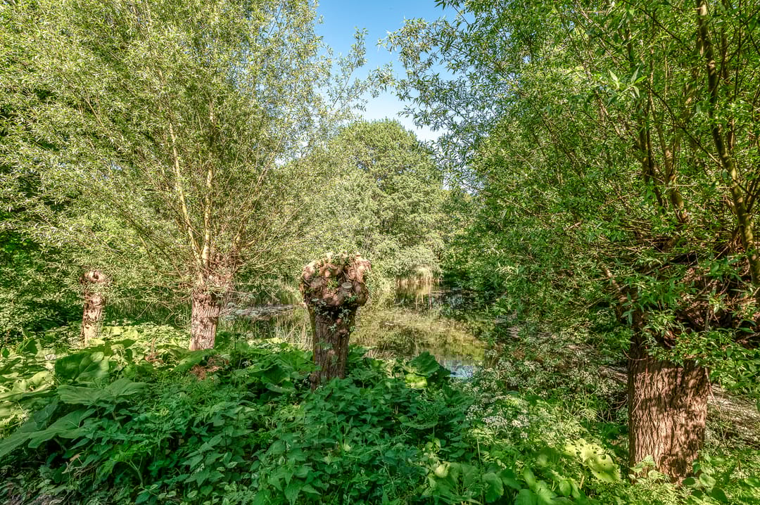 Foto 22 van C.A. van Beverenstraat 60