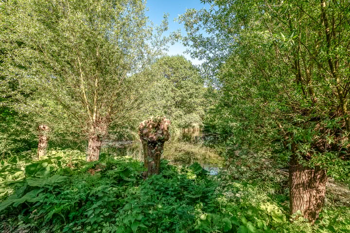 Foto 22 van C.A. van Beverenstraat 60