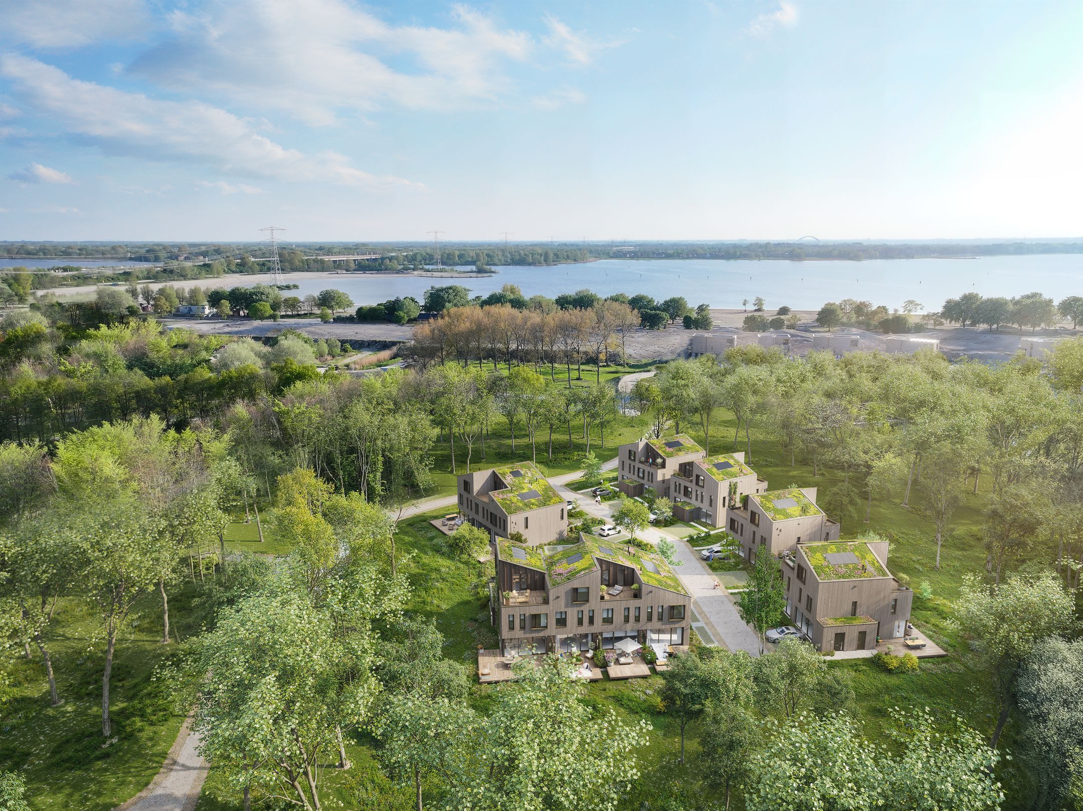 Foto van Duinhout fase 1