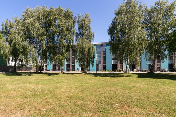 Foto 6 van Mintplantsoen 3