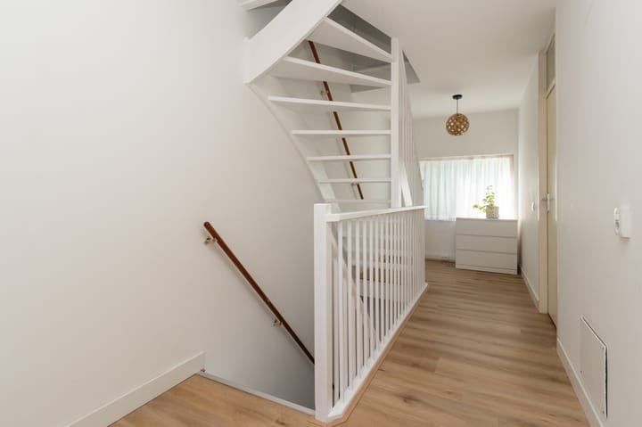 Foto 19 van Mintplantsoen 3