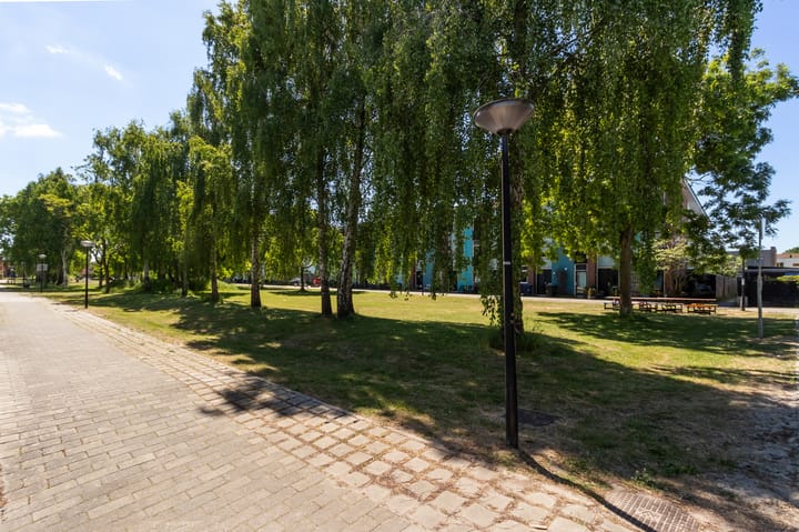 Foto 29 van Mintplantsoen 3