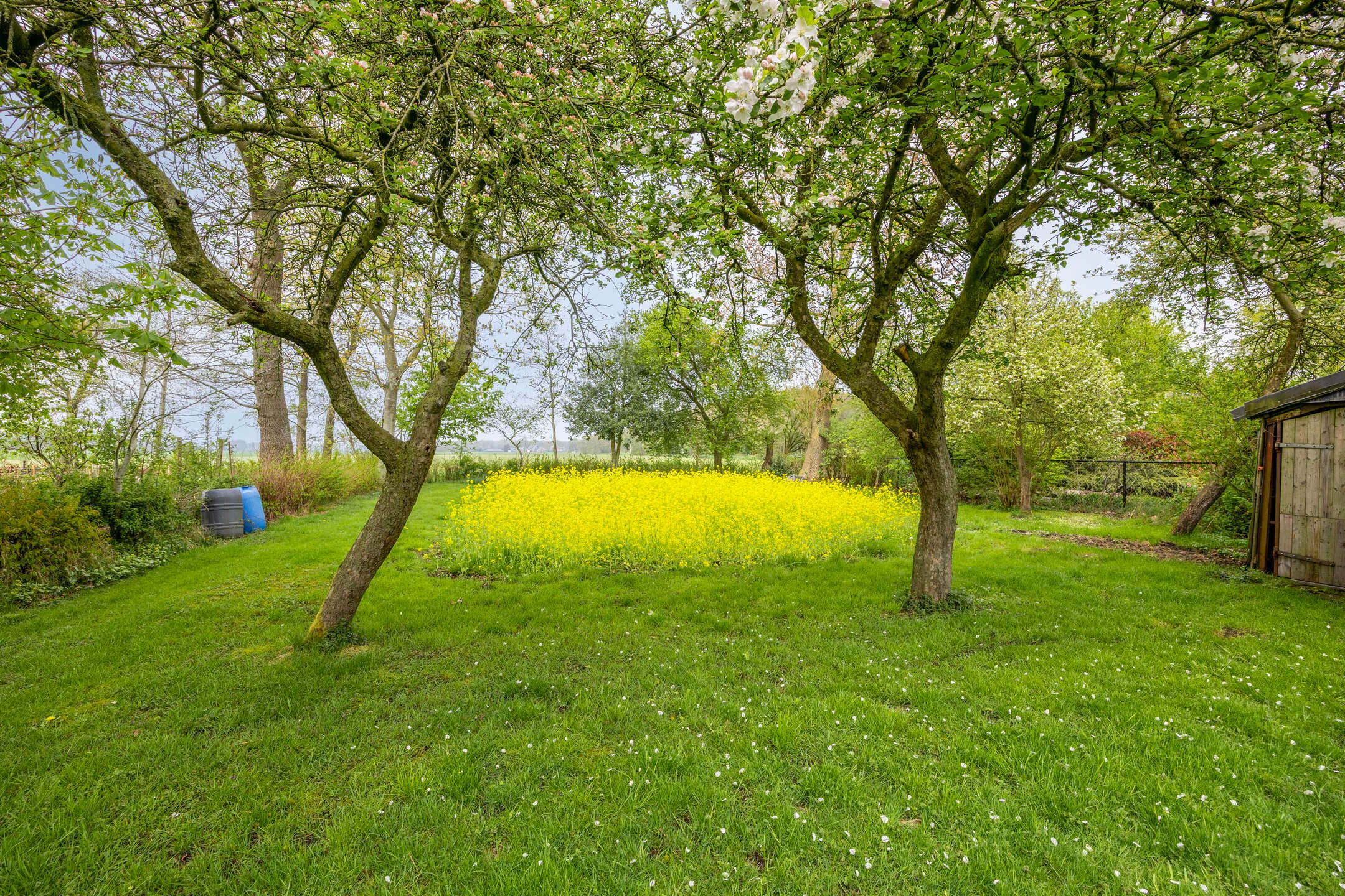 Photo 39 of Hoofdweg-Boven 73
