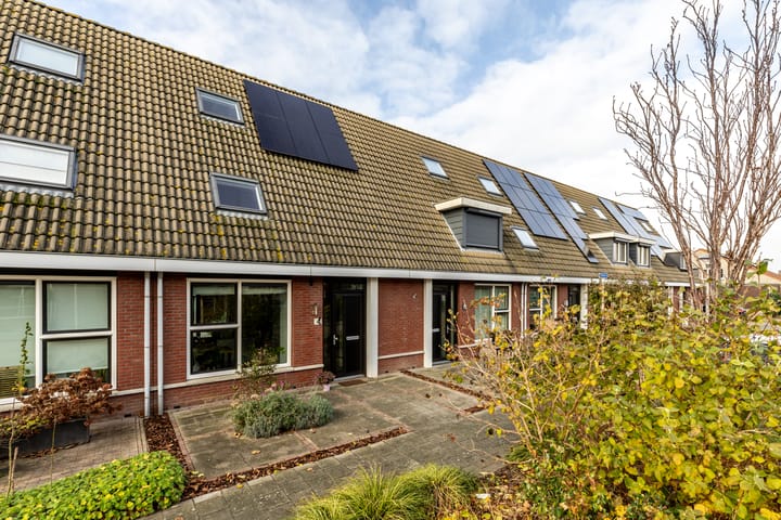 Bekijk foto van Rietgors 12
