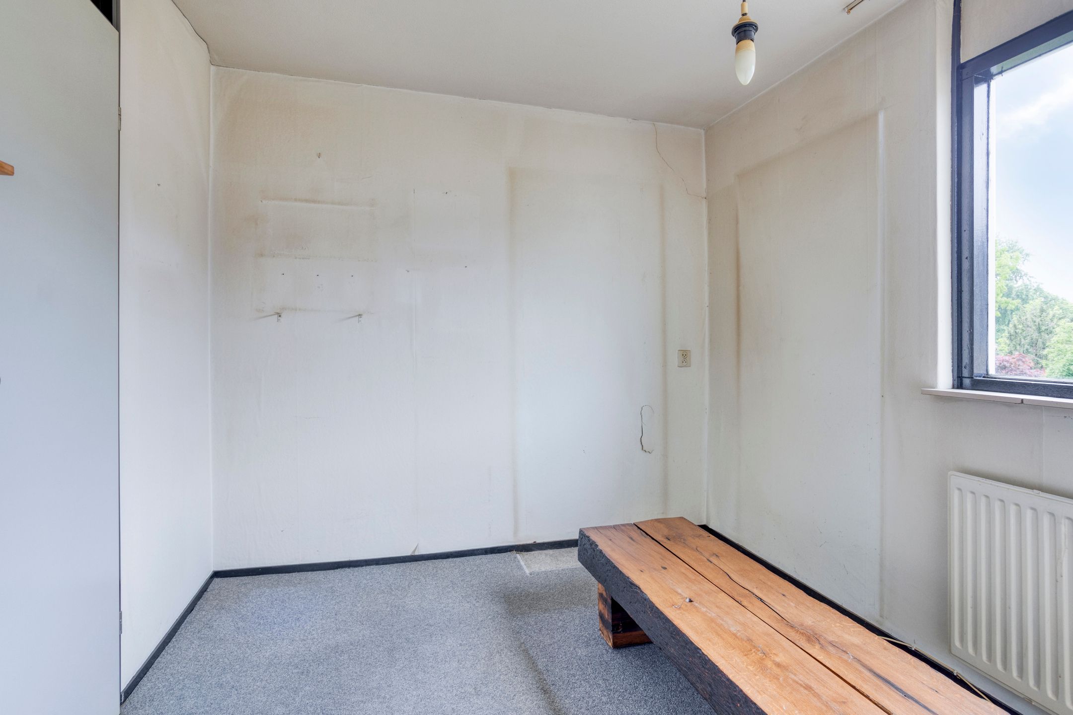 Photo 9 of Hunze 195