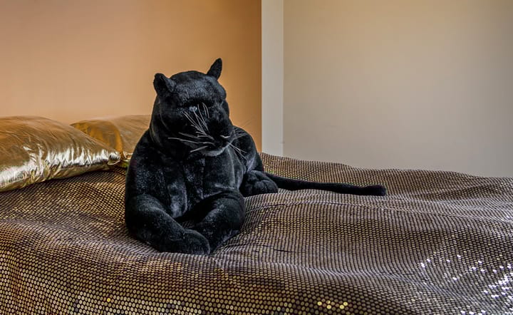 Foto 17 van Tsjerkestrjitte 2