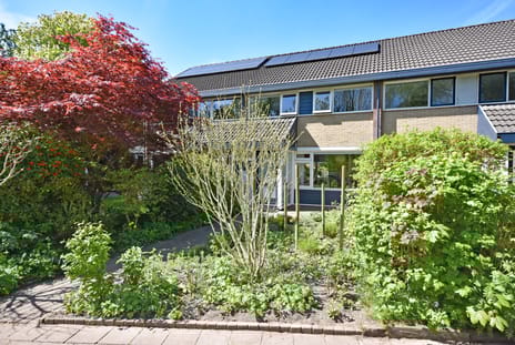 undefined main image