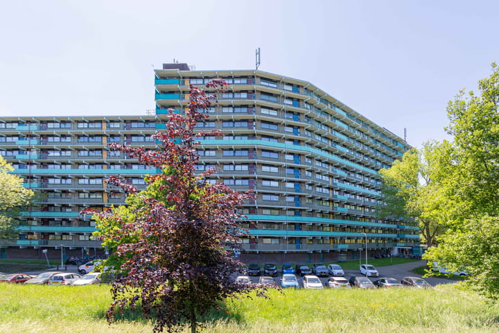 Foto 2 van Hoevenbos 95