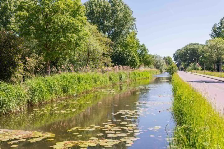 Foto 35 van Hoevenbos 95