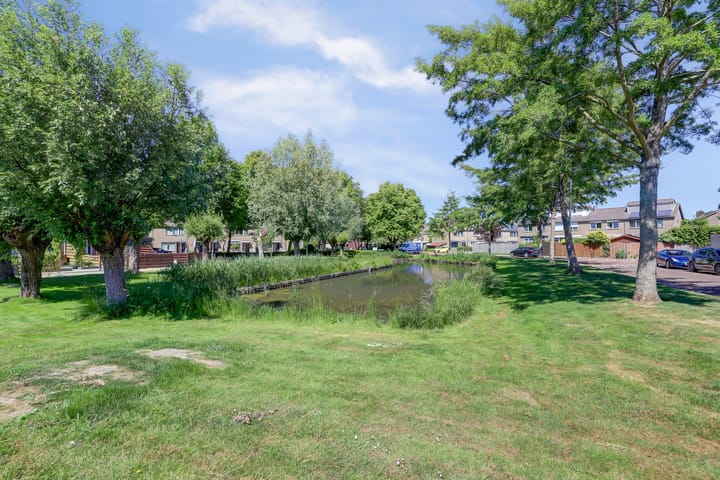 Foto 11 van Rietgansstraat 29