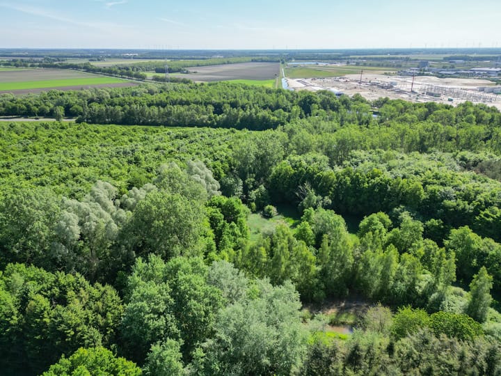 Foto 48 van Frans Halslaan 18