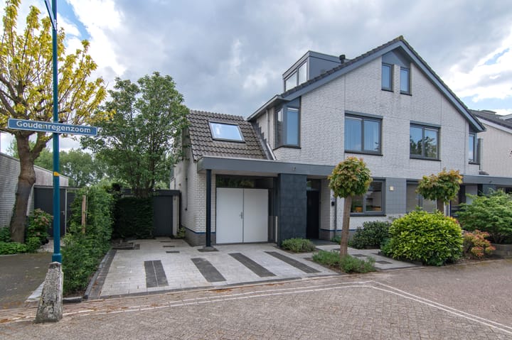 Foto 2 van Goudenregenzoom 164