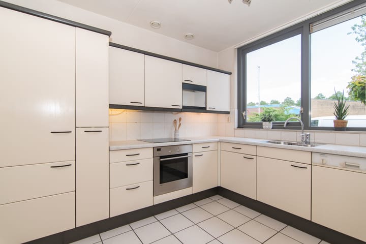 Foto 11 van Goudenregenzoom 164