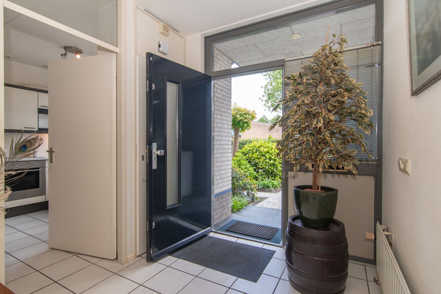 Foto 14 van Goudenregenzoom 164