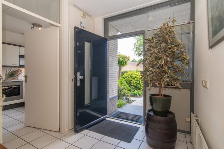 Foto 14 van Goudenregenzoom 164