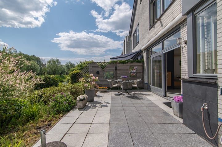 Foto 18 van Goudenregenzoom 164