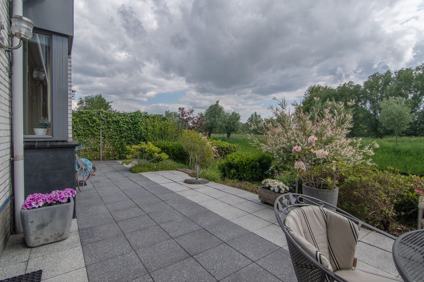 Foto 19 van Goudenregenzoom 164