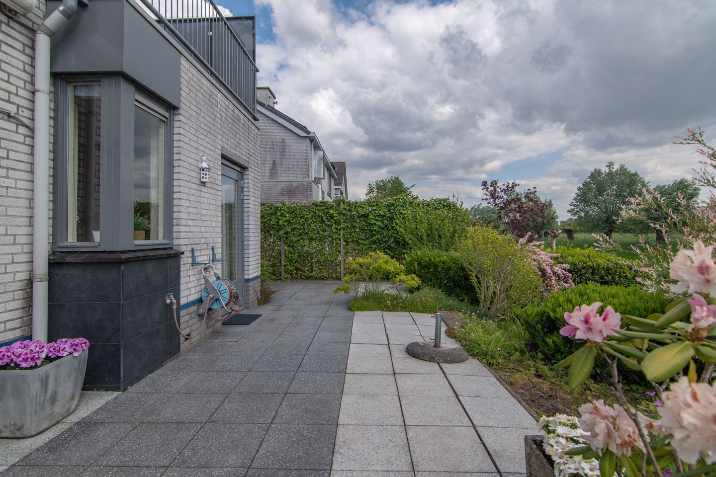 Foto 20 van Goudenregenzoom 164