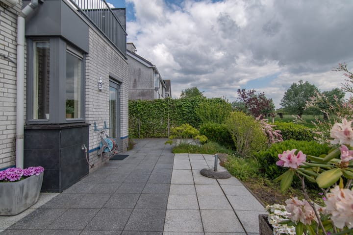 Foto 20 van Goudenregenzoom 164