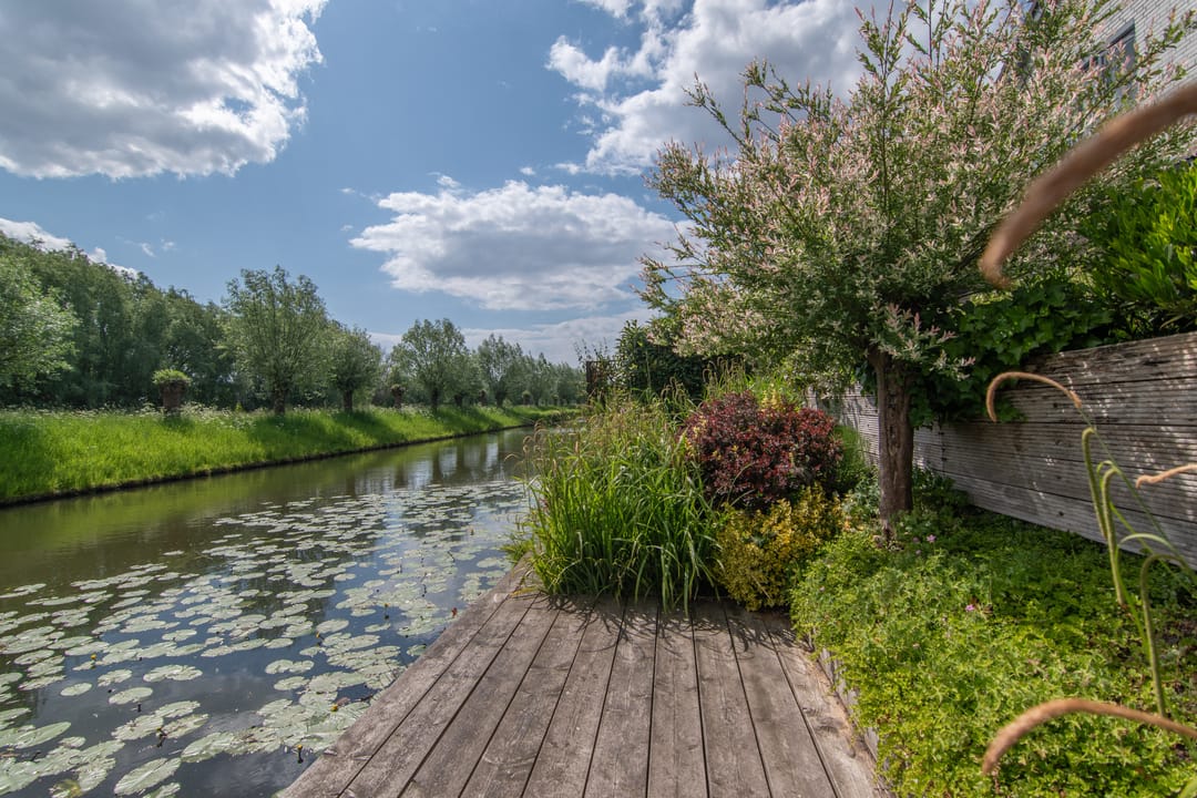 Foto 23 van Goudenregenzoom 164