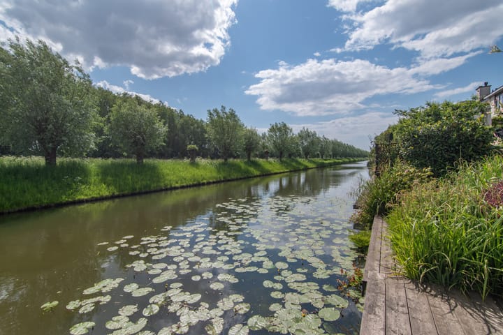 Foto 24 van Goudenregenzoom 164