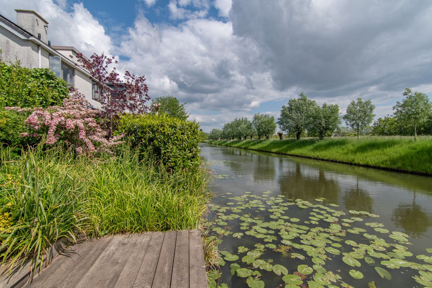 Foto 25 van Goudenregenzoom 164