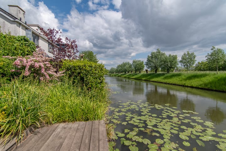 Foto 25 van Goudenregenzoom 164