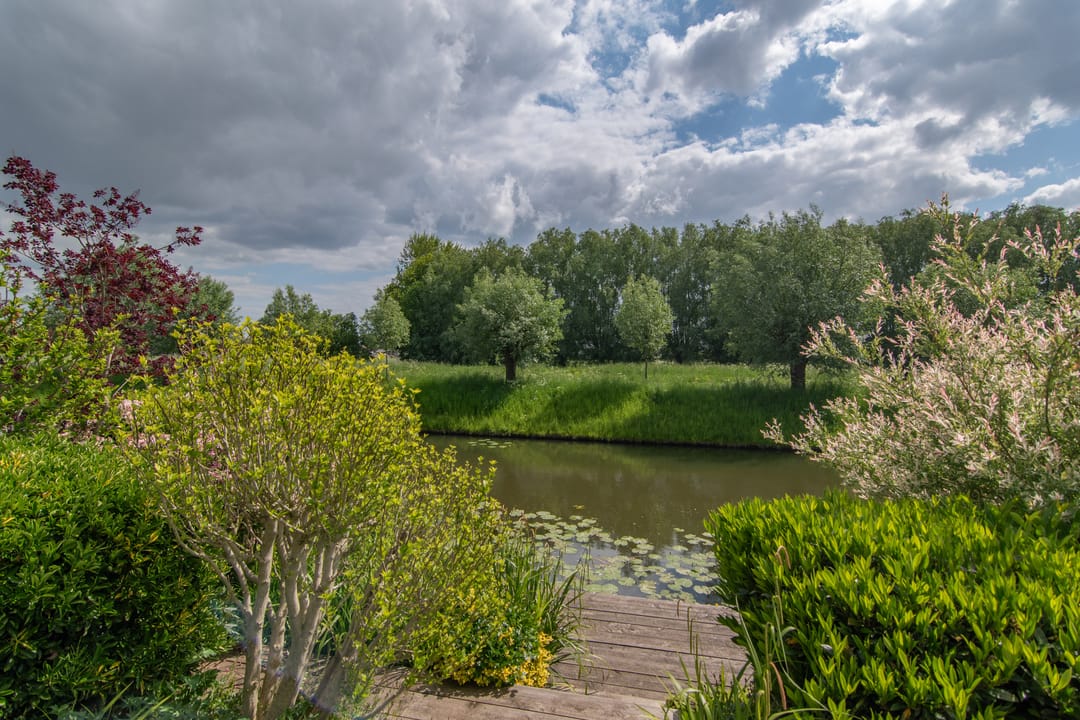 Foto 26 van Goudenregenzoom 164