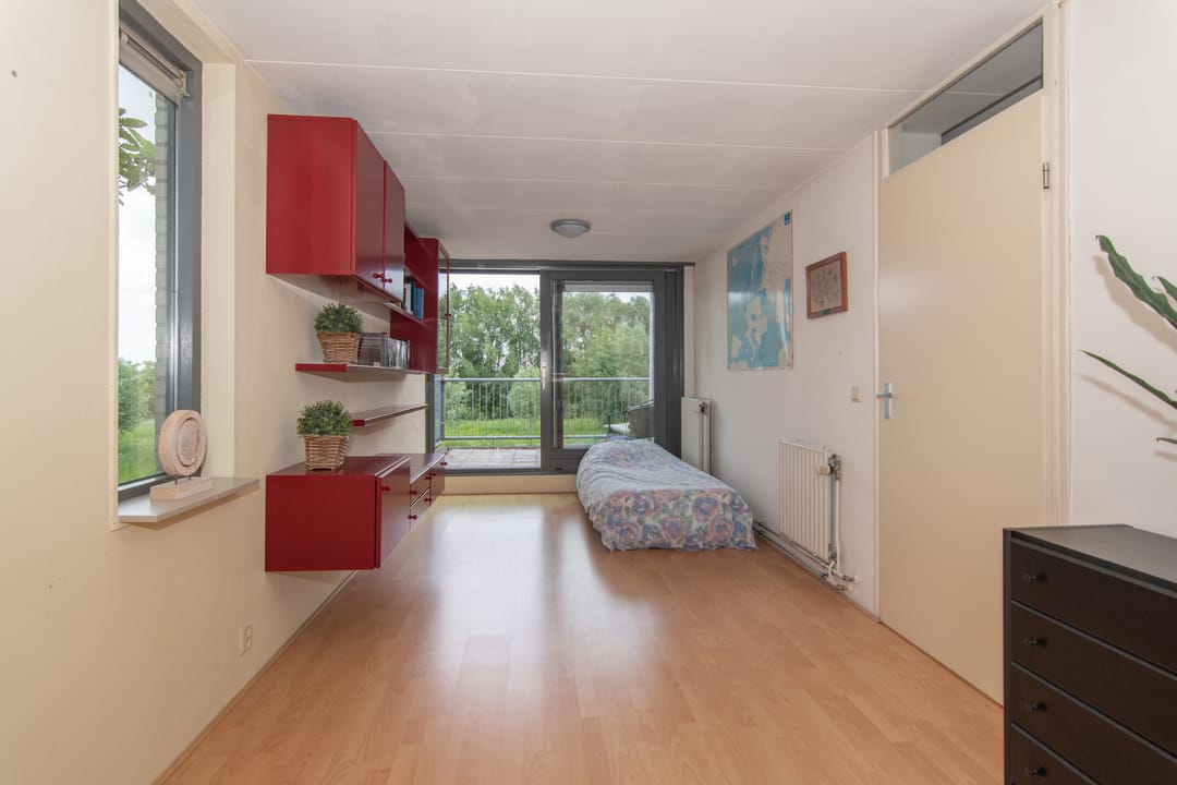 Foto 32 van Goudenregenzoom 164