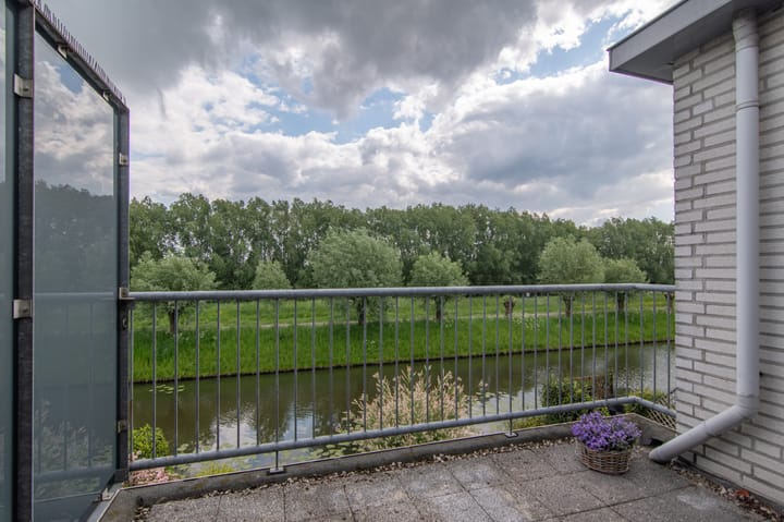 Foto 35 van Goudenregenzoom 164