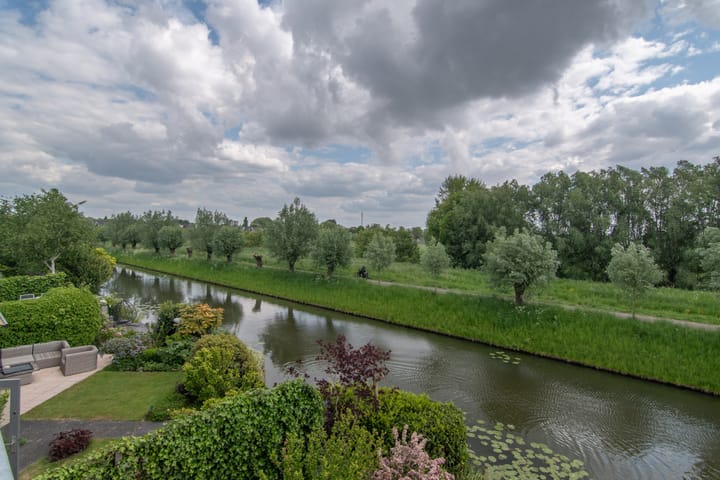 Foto 37 van Goudenregenzoom 164