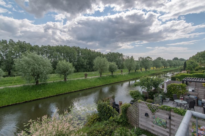 Foto 38 van Goudenregenzoom 164