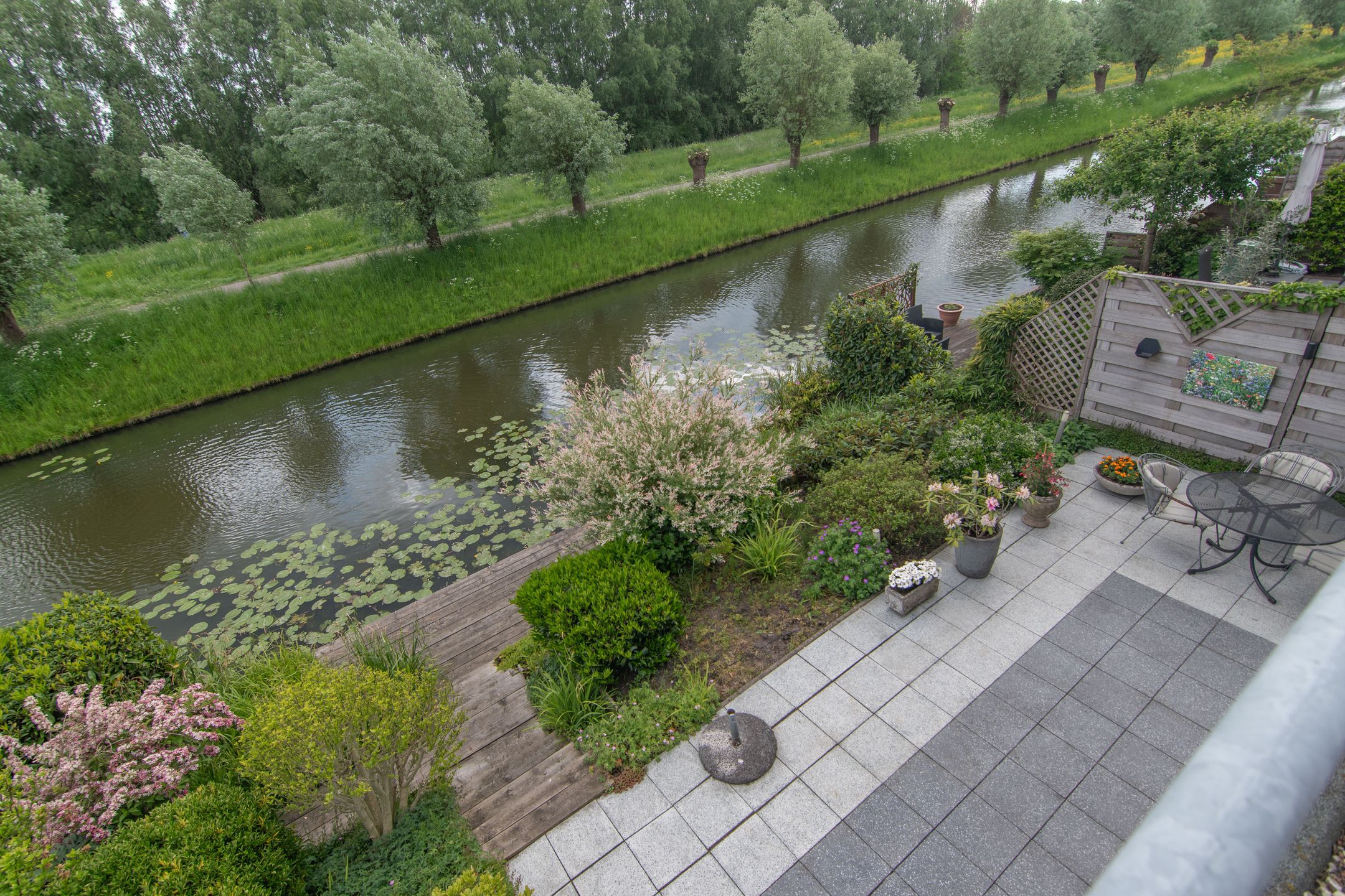 Foto 39 van Goudenregenzoom 164