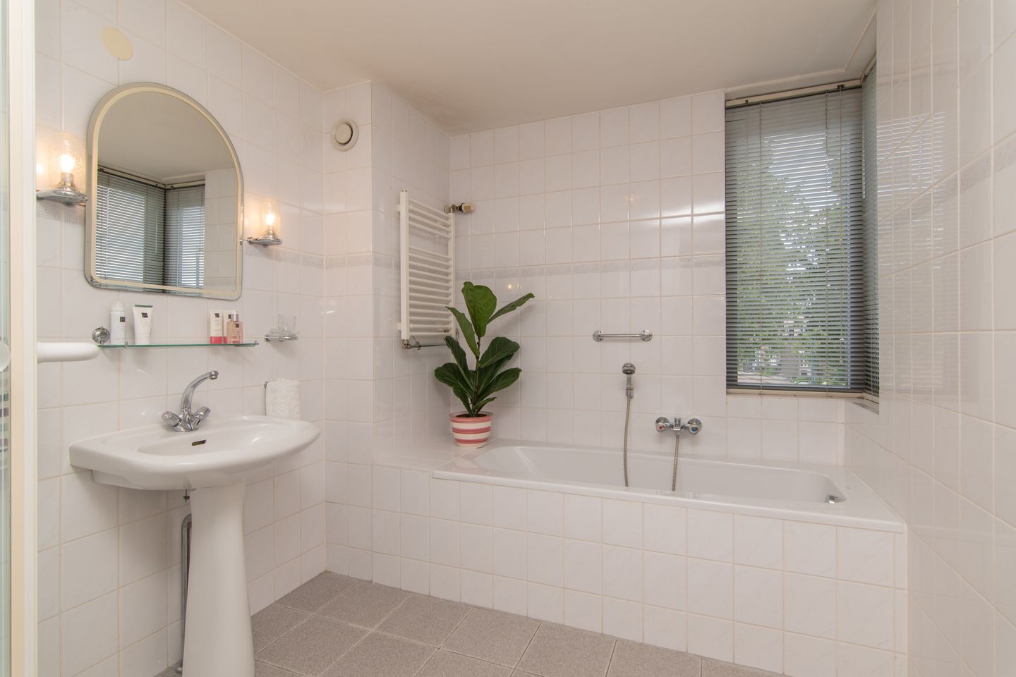 Foto 40 van Goudenregenzoom 164