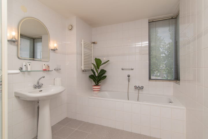 Foto 40 van Goudenregenzoom 164