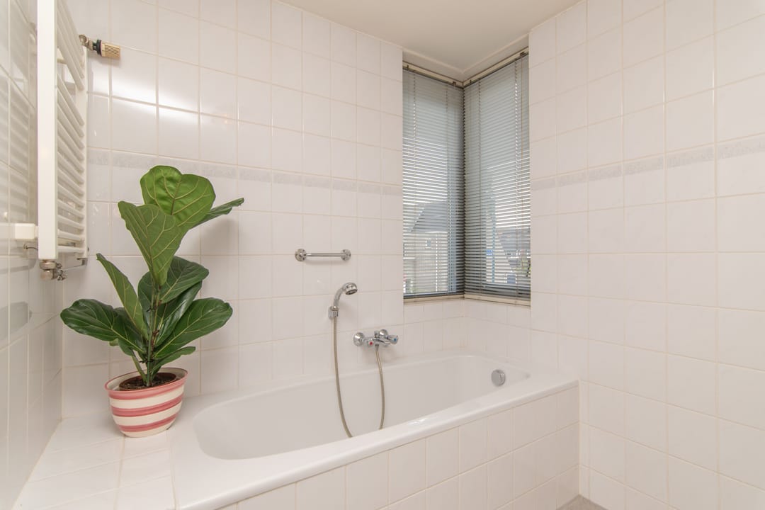 Foto 41 van Goudenregenzoom 164