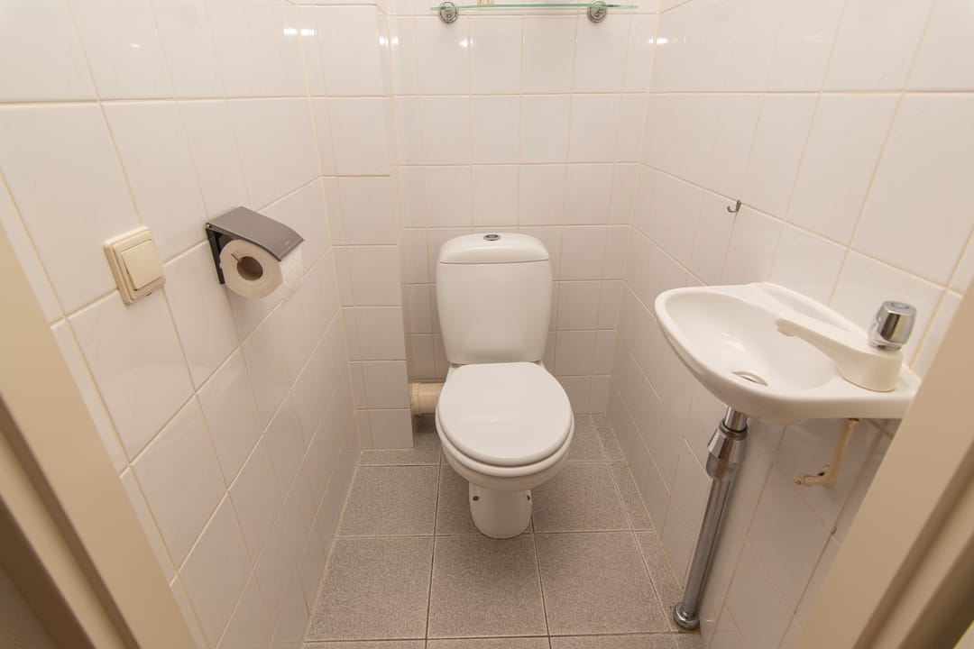 Foto 43 van Goudenregenzoom 164