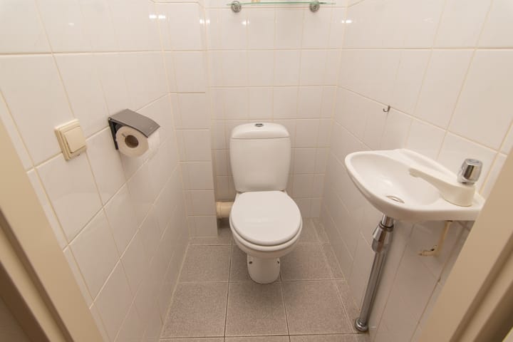 Foto 43 van Goudenregenzoom 164