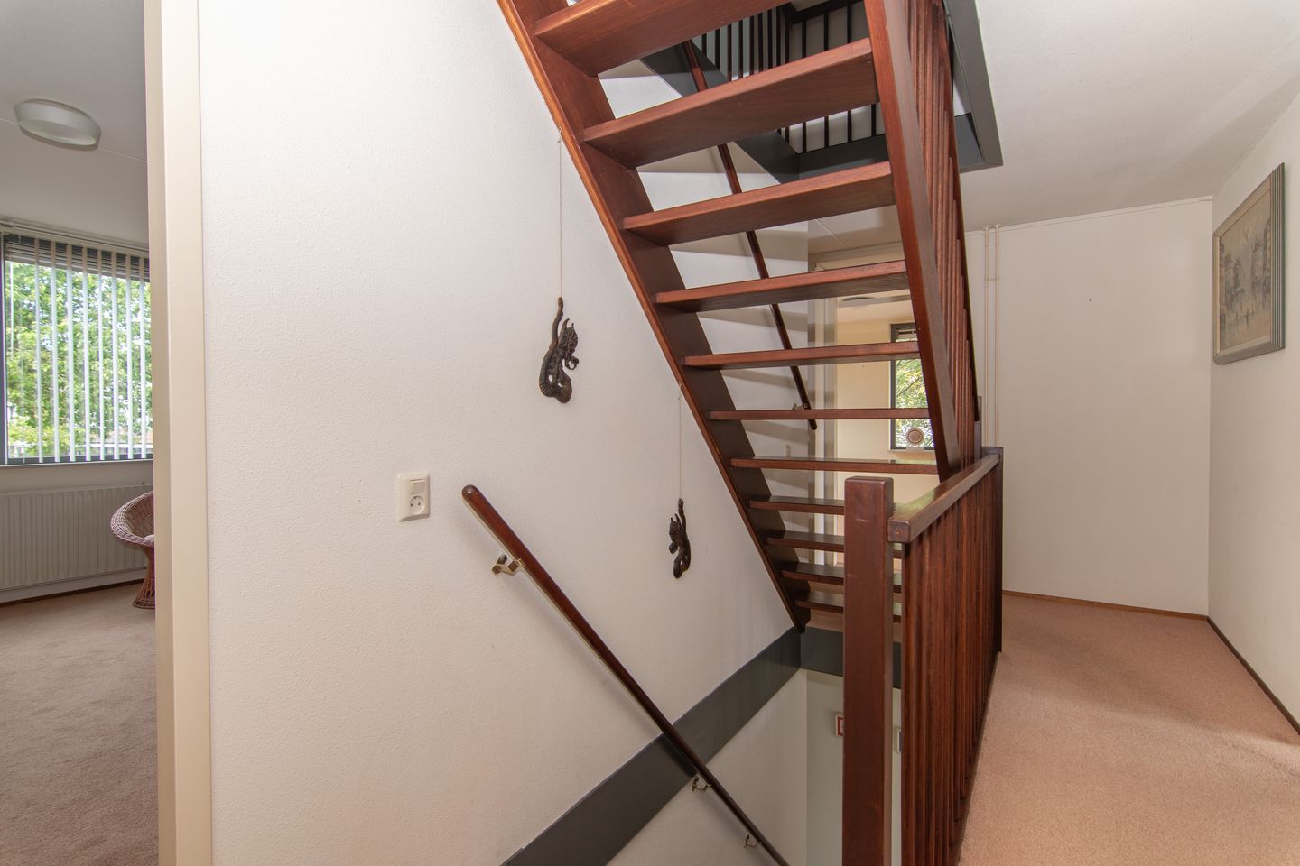 Foto 44 van Goudenregenzoom 164