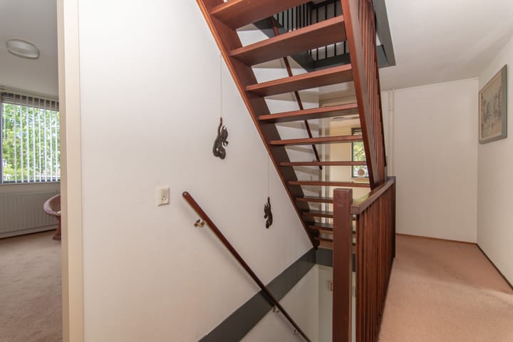 Foto 44 van Goudenregenzoom 164